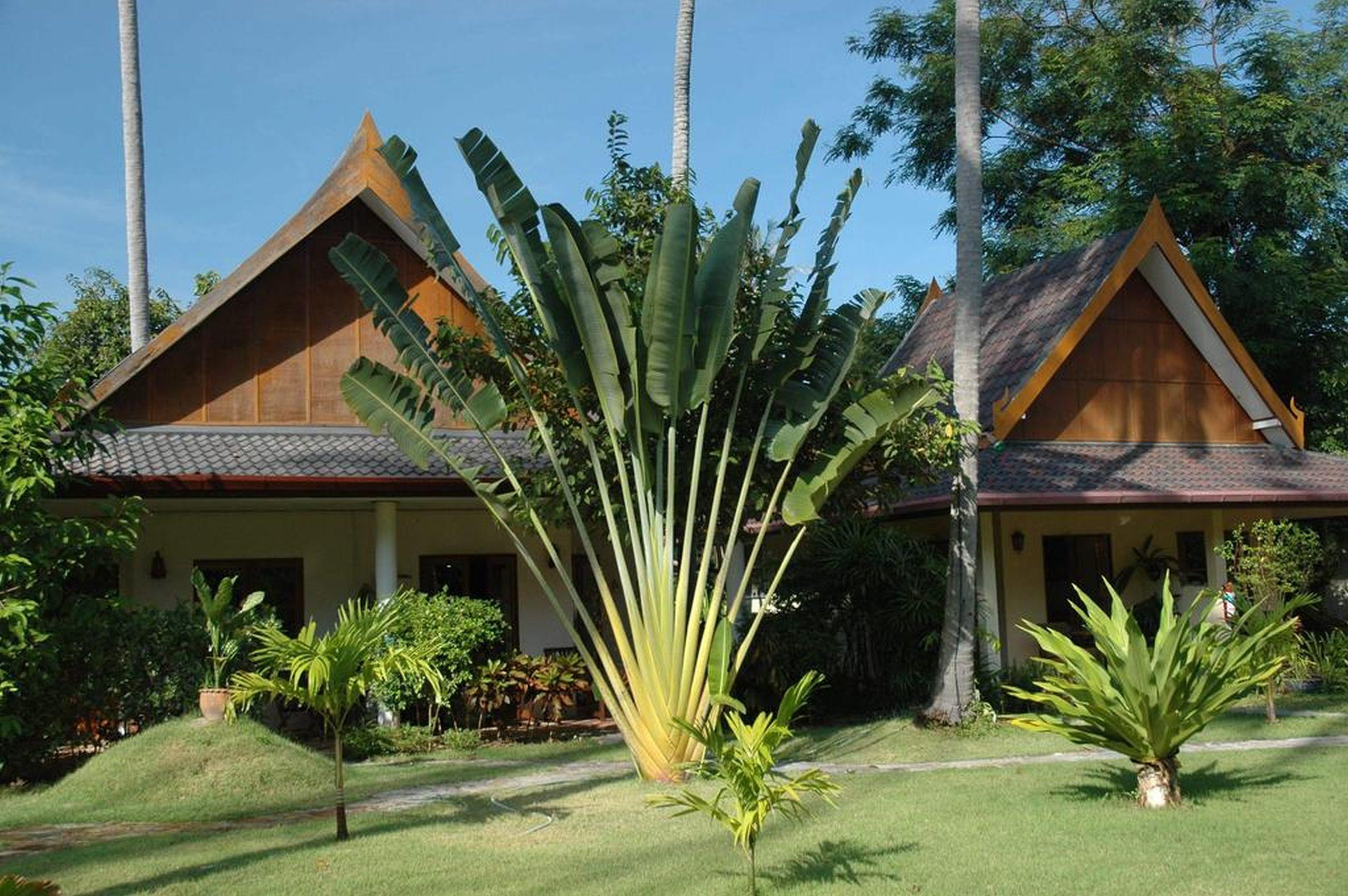 Palm Garden Resort Rawai Exterior photo