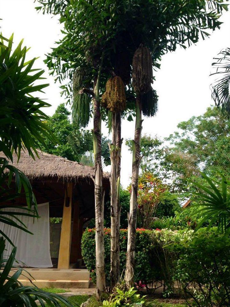 Palm Garden Resort Rawai Exterior photo